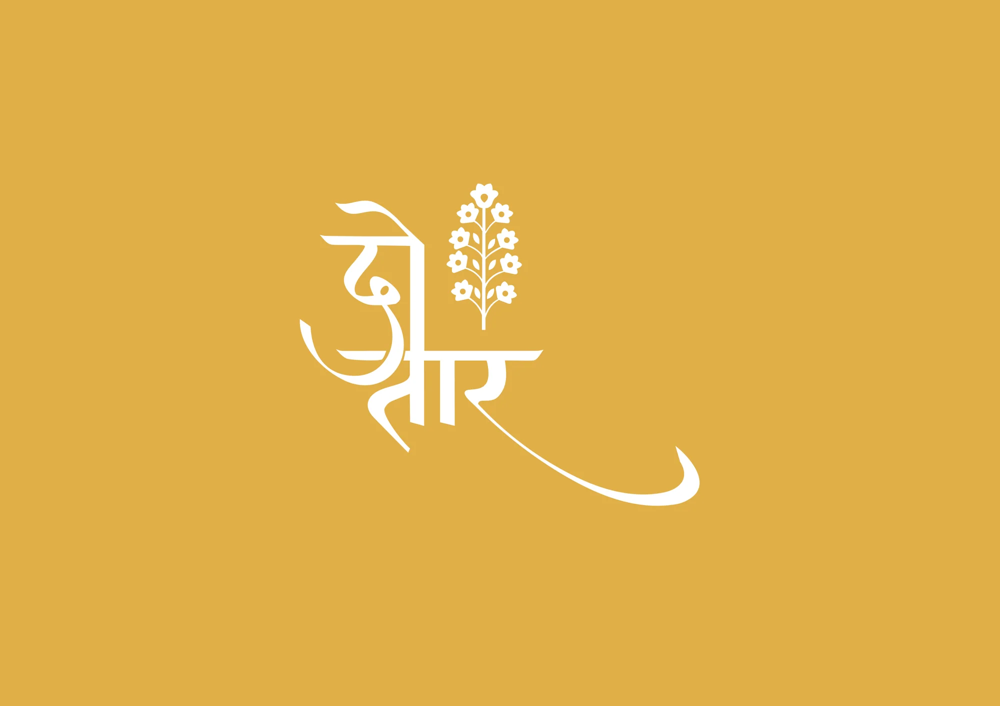 Wordmark — marigold, Do Taar, handcrafted fashion branding by Blue Owl Design Studio, Hyderabad