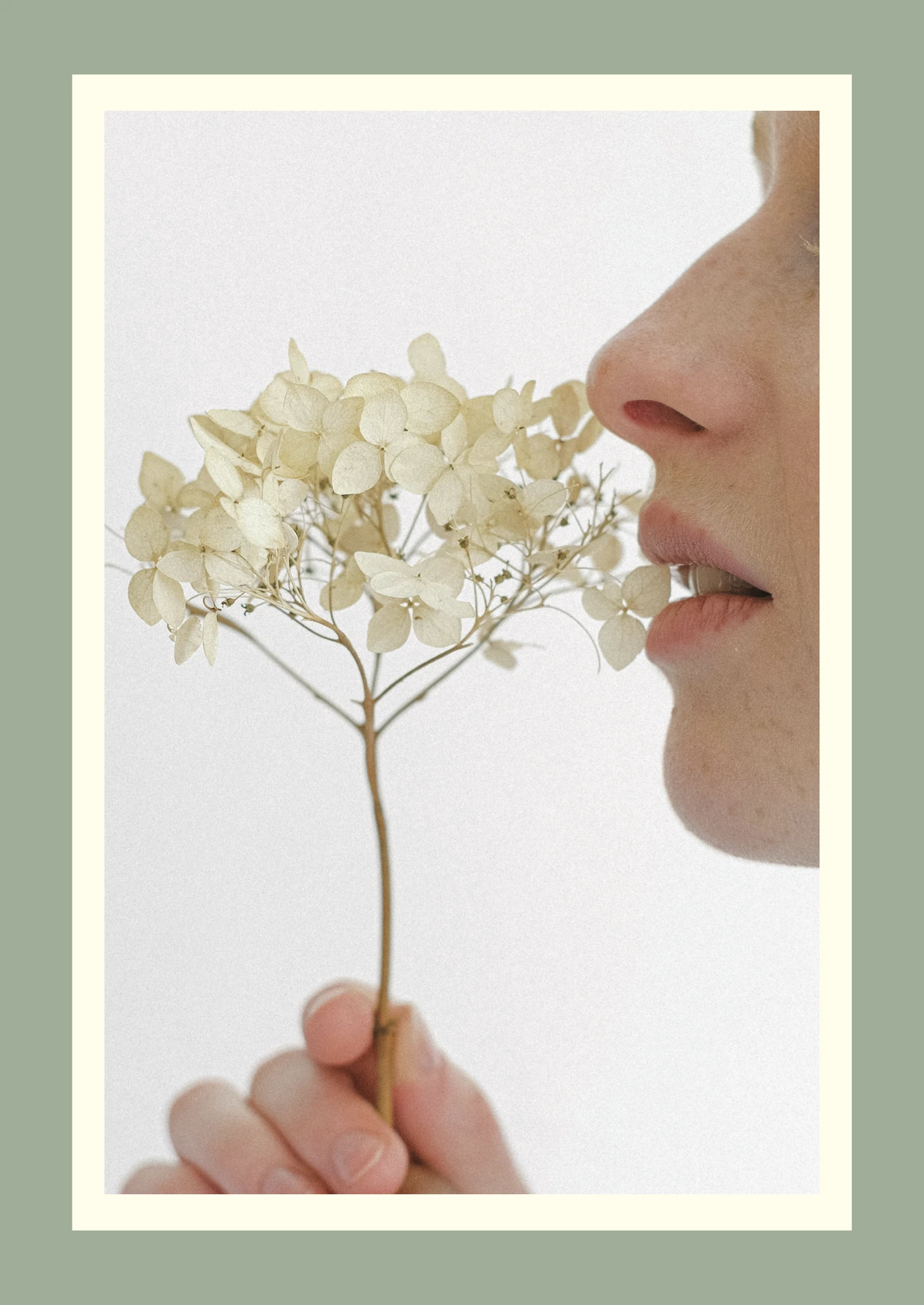 Visual mood board, 6 of 7, LINAÉ, healthcare & aesthetics branding by Blue Owl Design Studio, Hyderabad