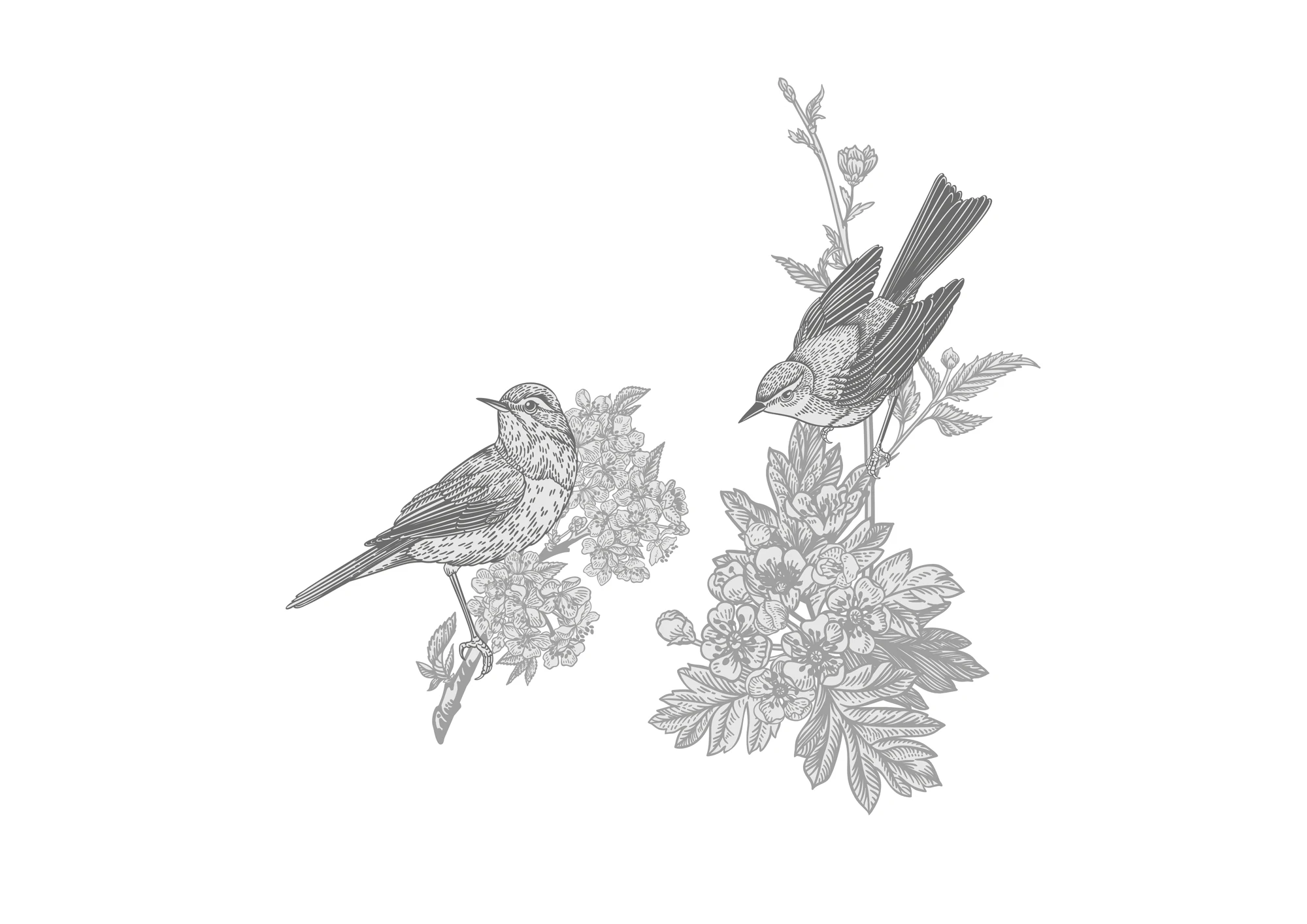 The birds, Rüya, fashion & couture styling branding by Blue Owl Design Studio, Hyderabad