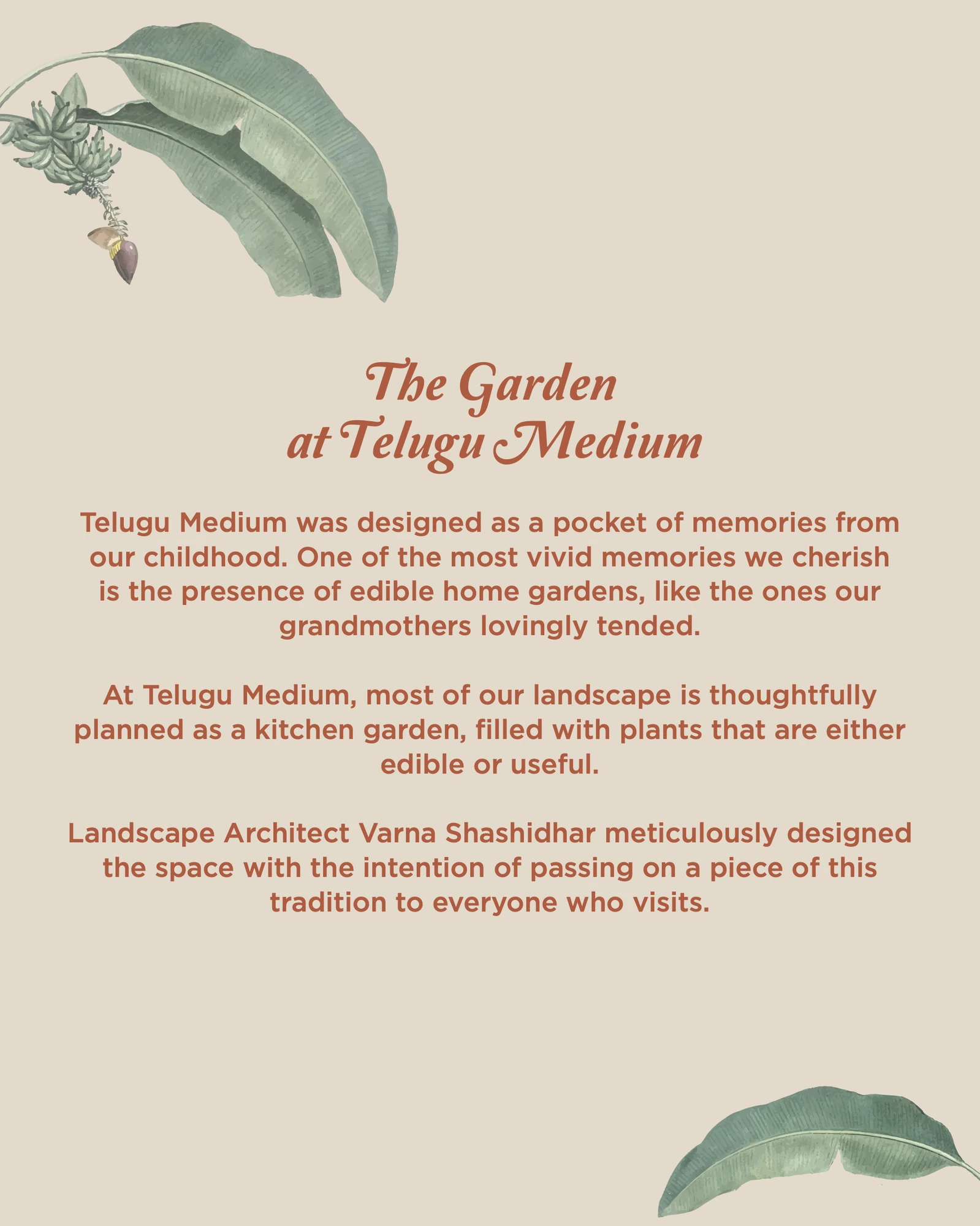 Garden pages, 1 of 2, Telugu Medium, food & beverage branding by Blue Owl Design Studio, Hyderabad