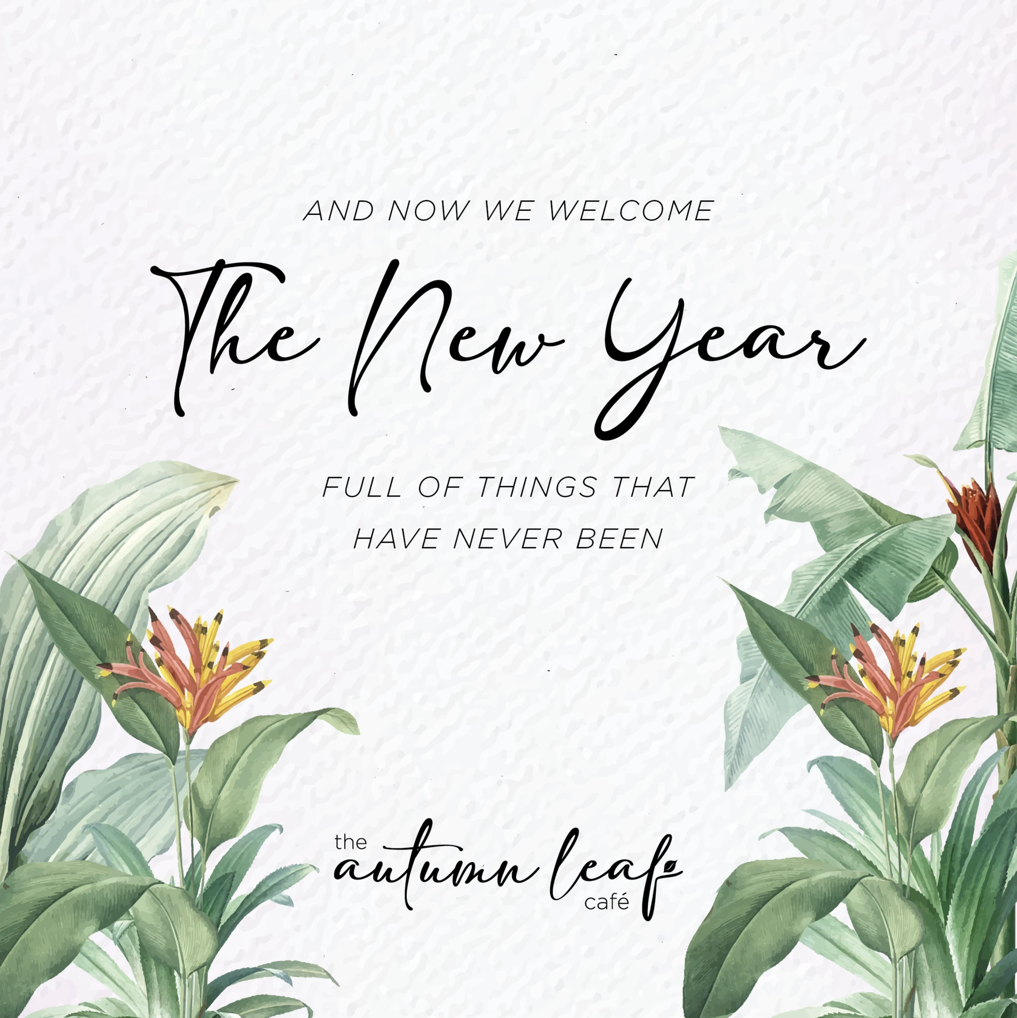New Year (Occasion posts), The Autumn Leaf Café, food & beverage branding by Blue Owl Design Studio, Hyderabad