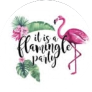 Flamingle highlight cover